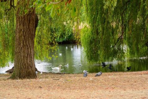 Property Image 35