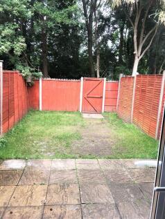 Back Garden