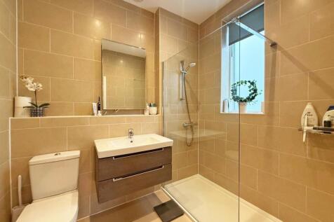 thumbnail_image5 (1).jpg