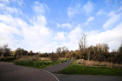 View to Hammond's Pond