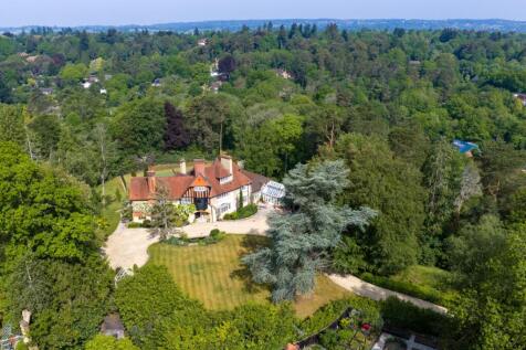 Tree Top Aerial