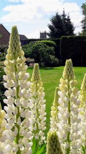 WhatsApp Image 2025-05-28 at 11.26.09_35b3d958.jpg