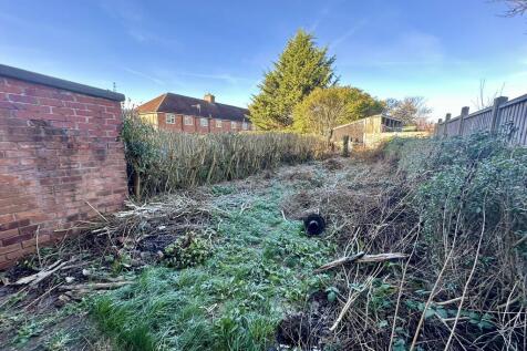 IMG 4208 T202511291136.jpeg