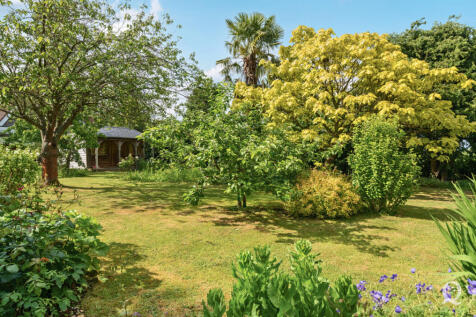 117de724-c217-4b3...