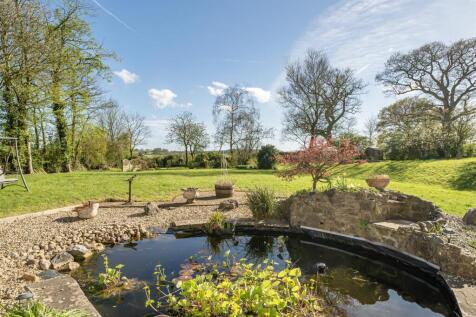 Rear garden and pond