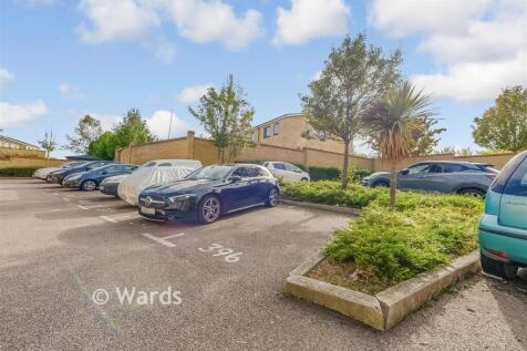 Driveway/Parking