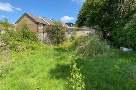 IMG 6391 T202510221046.jpeg