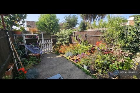 Back Garden