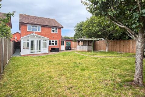 Garden 4
