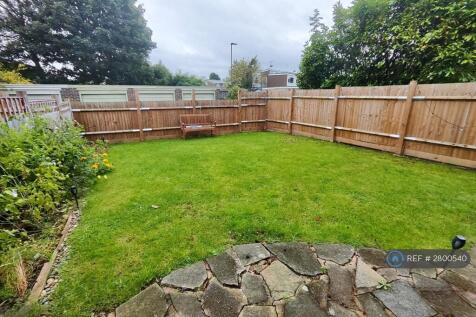 Back Garden