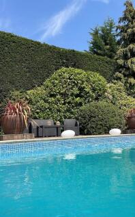 Vendor Garden Photos_11.JPG