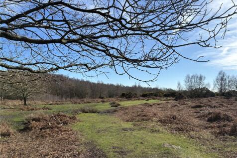 Chailey Common