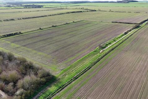 DJI_20260217101517_0034_D.JPG