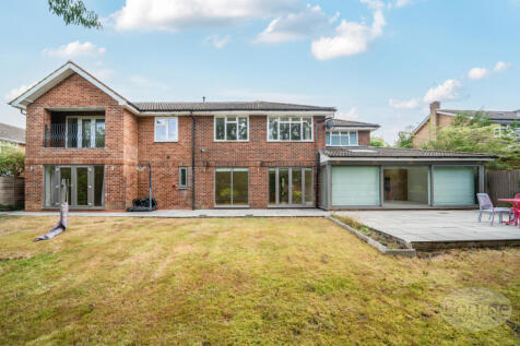 6d565697-daa0-4ca...