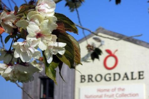 brogdale-collections-karen-louise (Small).jpg