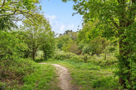 Property Image 54