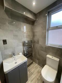 new sink and toilet.JPG