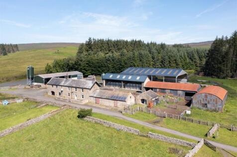 Emblehope F/H &amp; Steading