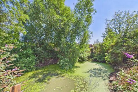 Pond