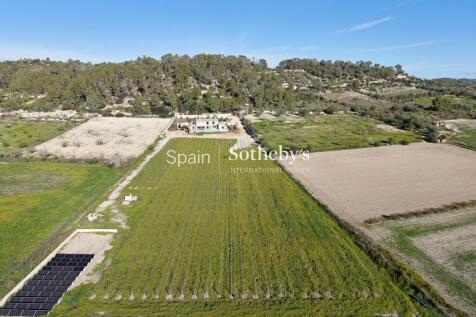 Property Image 62