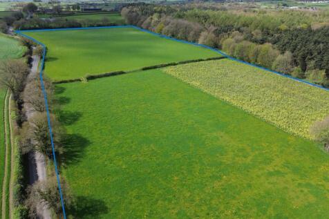 DJI_0581 Blue Line.JPG