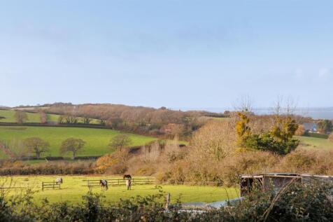 Local Views from Garden