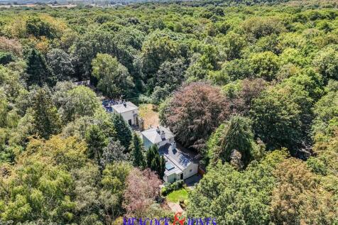 DJI_20260813133159_0346_D.jpg