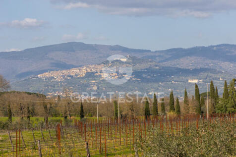 Panorama e Particolari