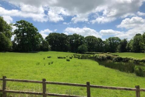 view feild