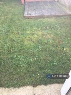 Back Garden Shed