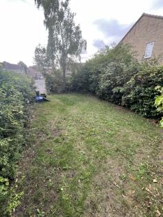 Garden.jpeg