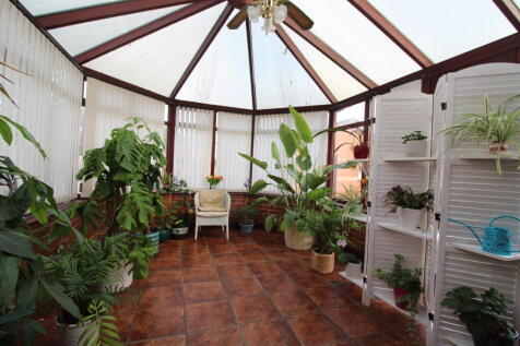 IMG 7274 T202511280913.jpg