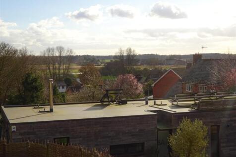 DSC03342.JPG
