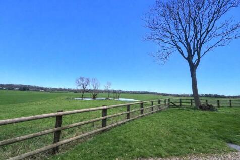 WhatsApp Image 2026-02-19 at 10.08.37 AM (1).jpeg