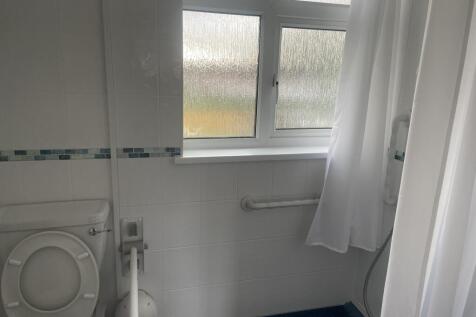 IMG 5942 T202601181243.jpeg