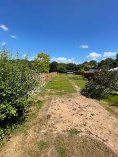Garden.jpg