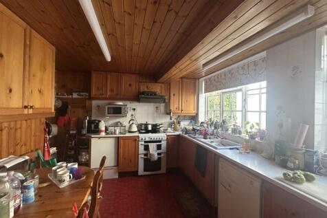 IMG 1673 T202510281537.jpg