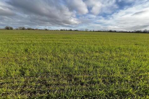 Photo 14-03-2025, 9 21 16 AM.jpg