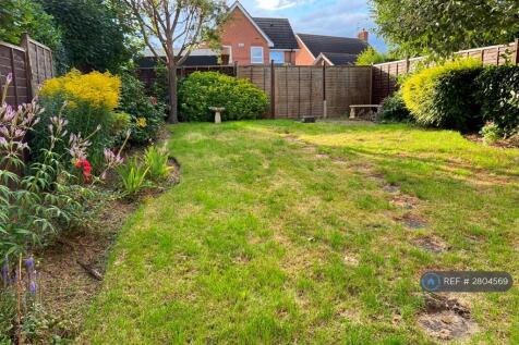 Back Garden
