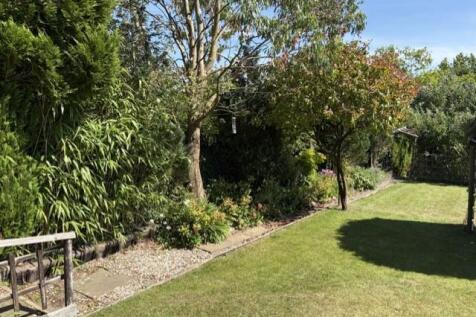 garden 2.jpg