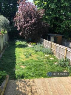 Back Garden