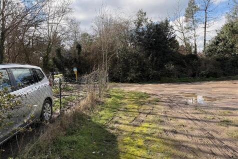 Grove Road - Rear Service Road.jpg
