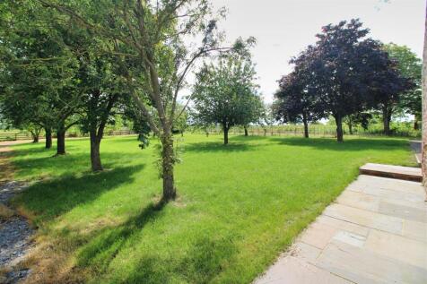Orchard.jpg