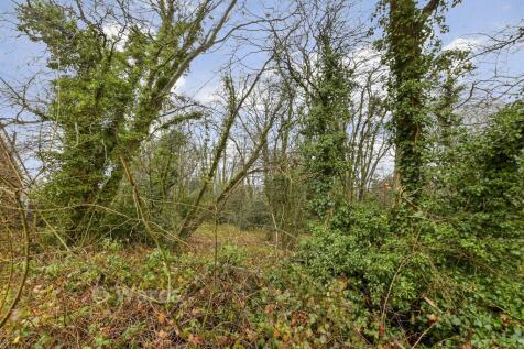 Surrounding Area