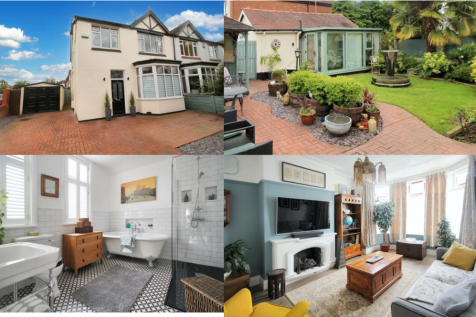 Opening Picture 4_1726315010225