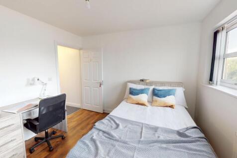 Blue-Fox-Close-2 (12