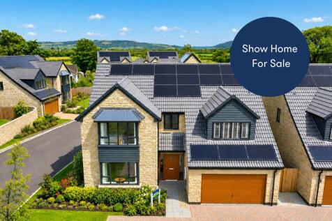Show Home