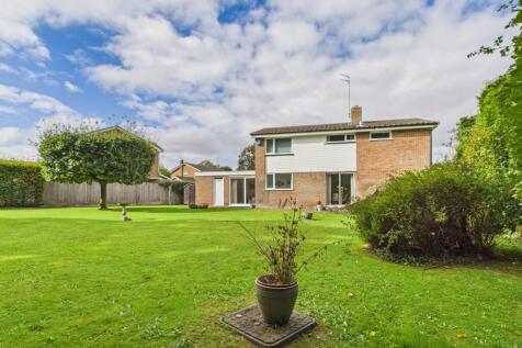 CAM02136G0-PR0470-STILL021