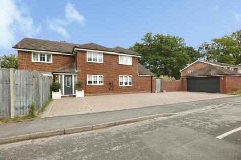 pbox-IMG.jpg