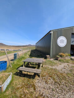 PXL_20250513_120918544